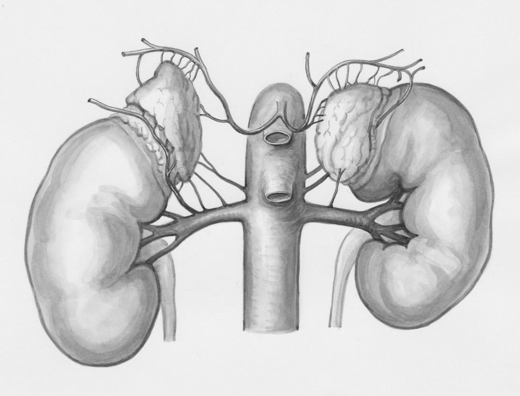 Understanding urinary health tests and markers